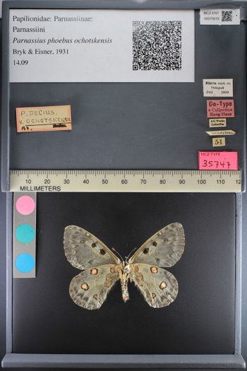 Media type: image;   Entomology 70619